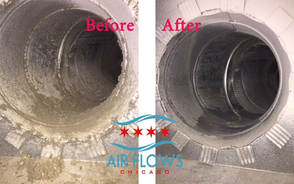Identify Common Air Duct Mold: Essential Homeowner's Guide